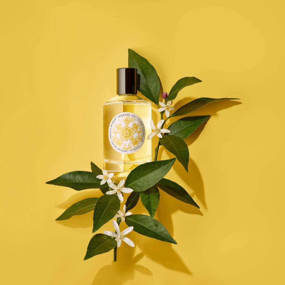 Colónia extraordinária 100ML - Madelana A Janela