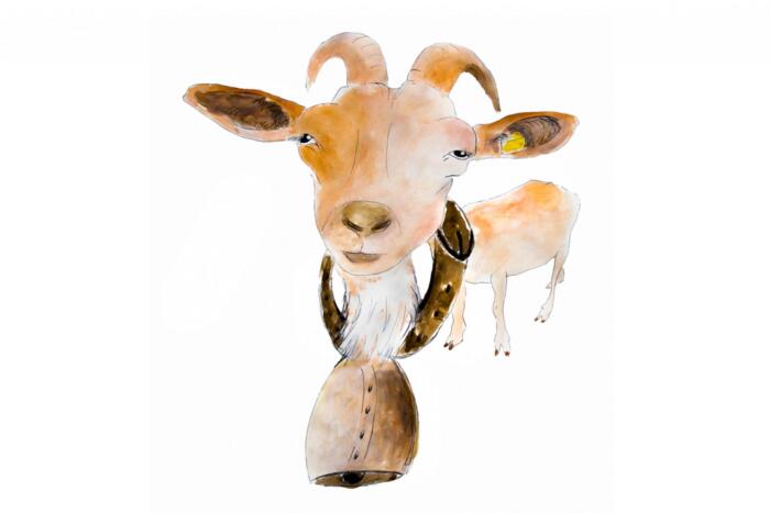 Coleção Animais - Madelana A Janela