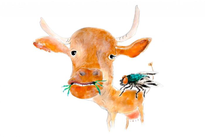 Coleção Animais - Madelana A Janela