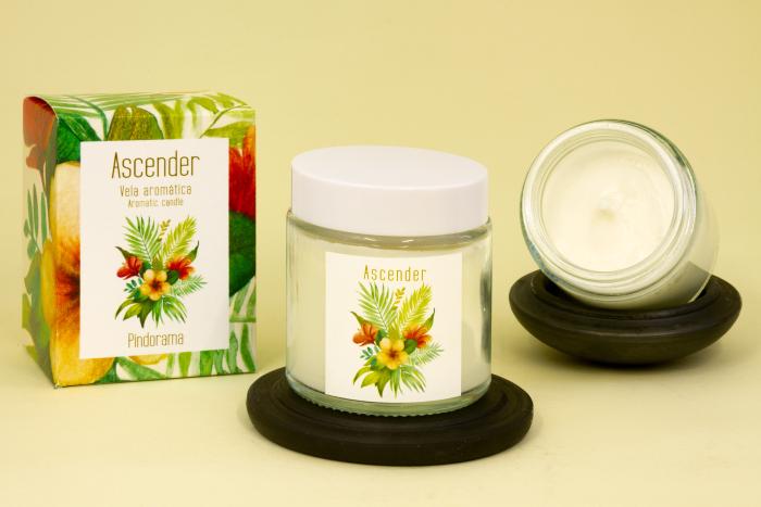 Velas aromáticas Pindorama - 19h | 90g - Madelana A Janela