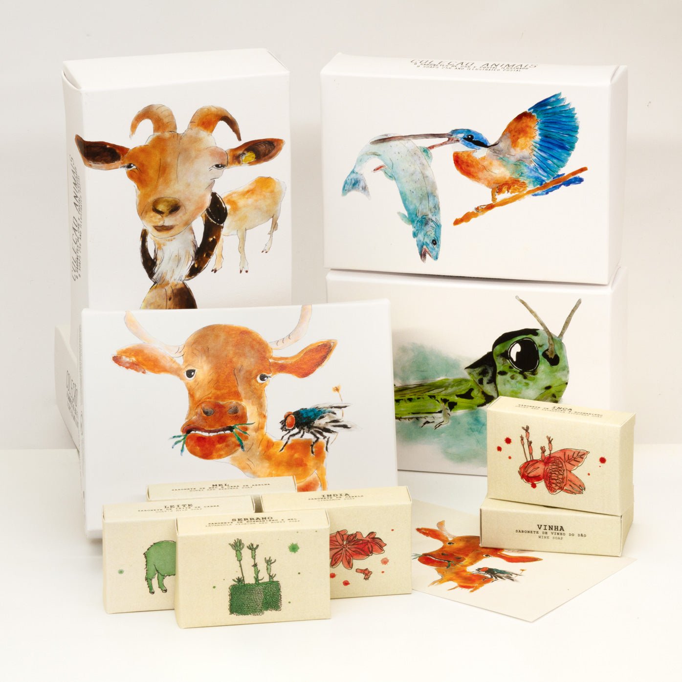 Coleção Animais - Madelana A Janela