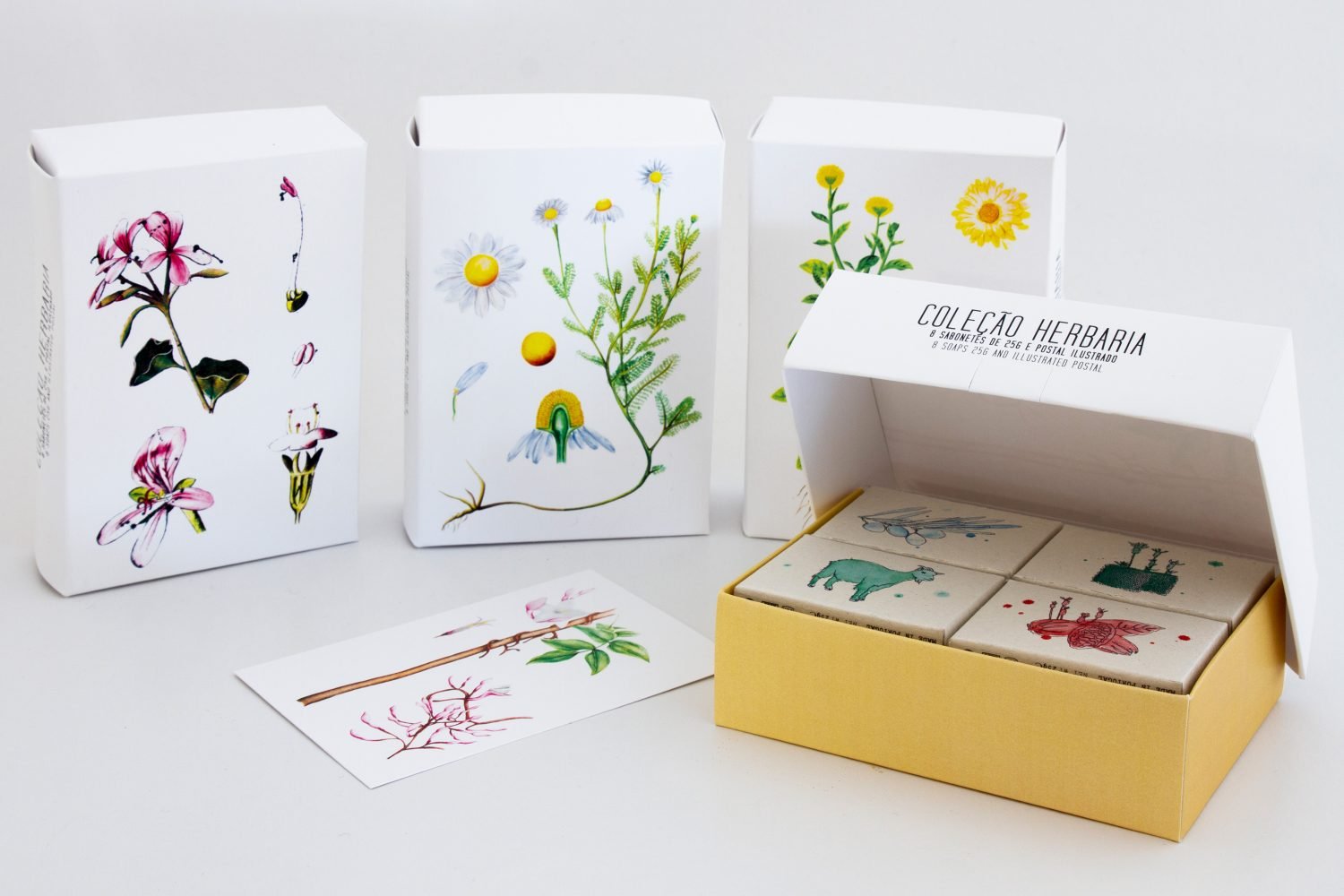 Coleção Herbária - Madelana A Janela
